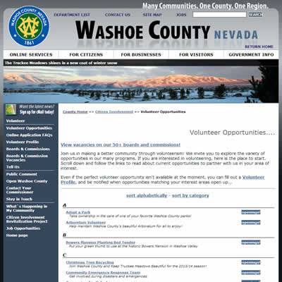 Interior page of washoecounty.us